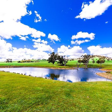 Hillview Farmstay Gundagai Eksteriør billede