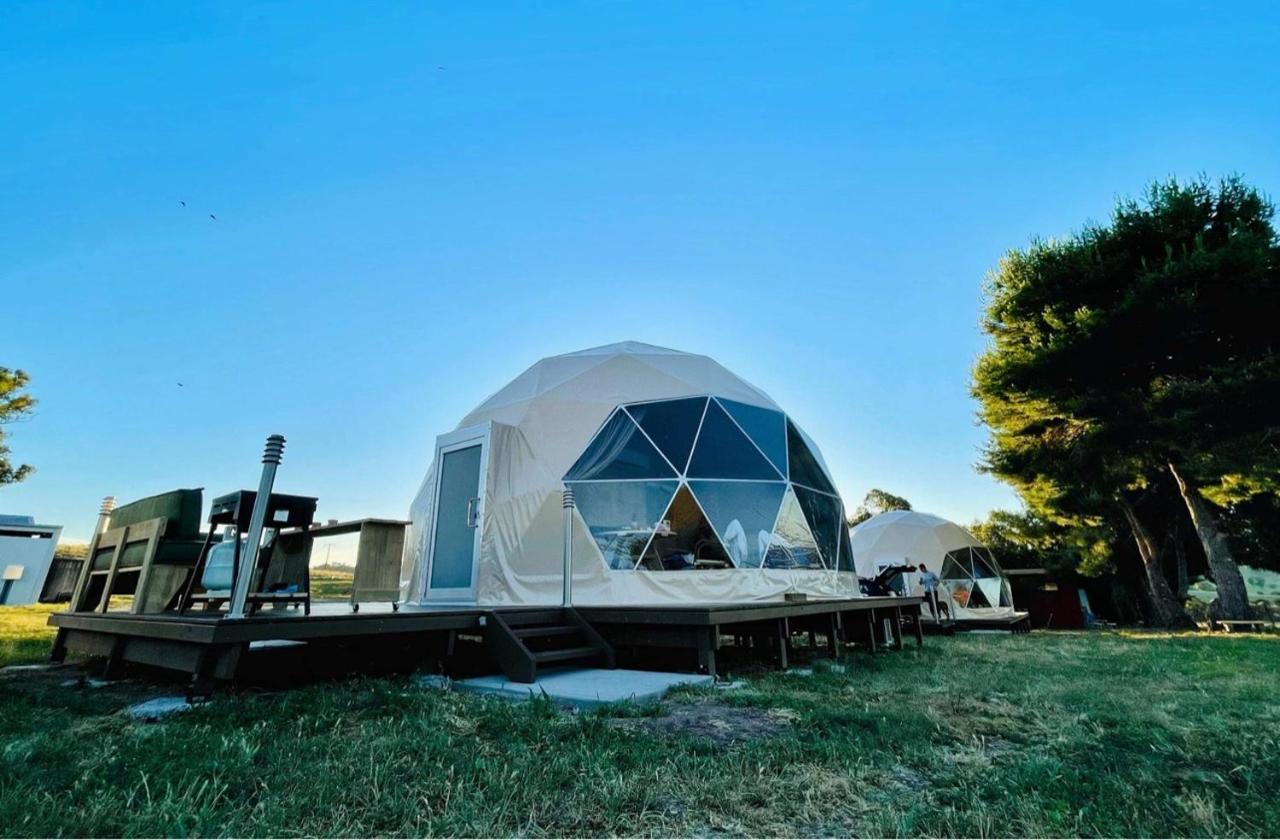 Hillview Farmstay Gundagai Eksteriør billede