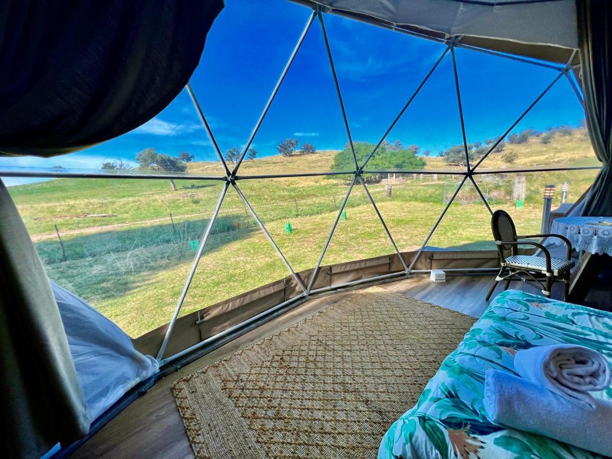 Hillview Farmstay Gundagai Eksteriør billede