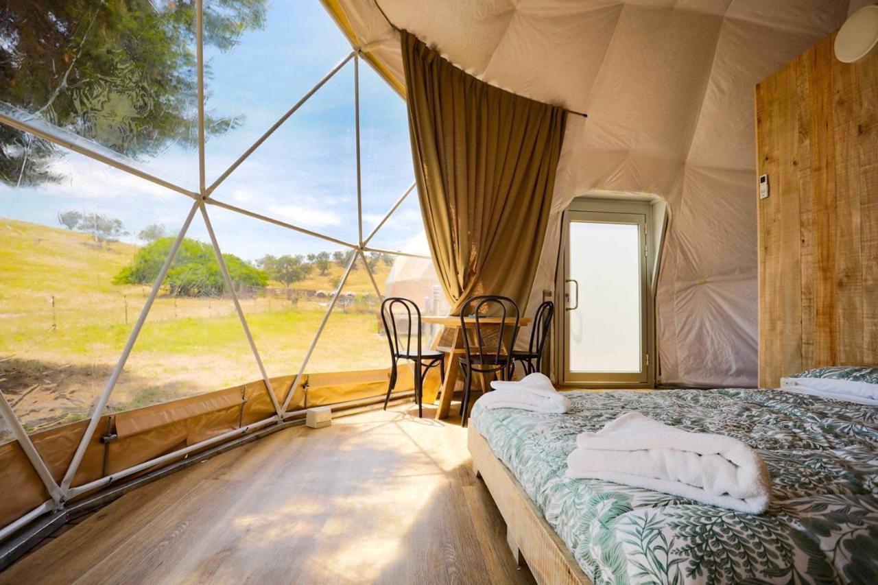 Hillview Farmstay Gundagai Eksteriør billede