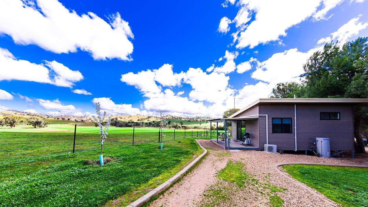 Hillview Farmstay Gundagai Eksteriør billede
