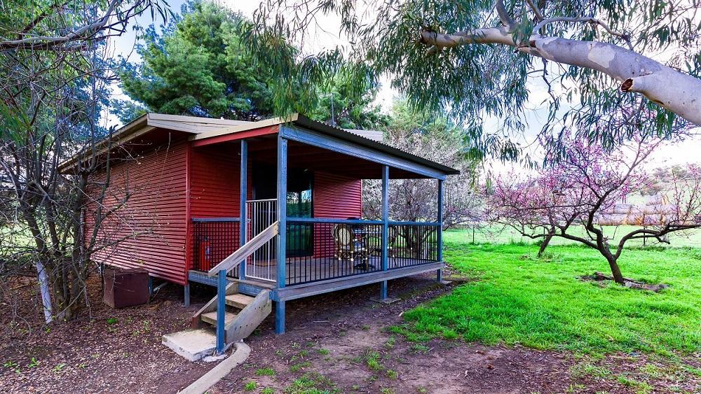 Hillview Farmstay Gundagai Eksteriør billede
