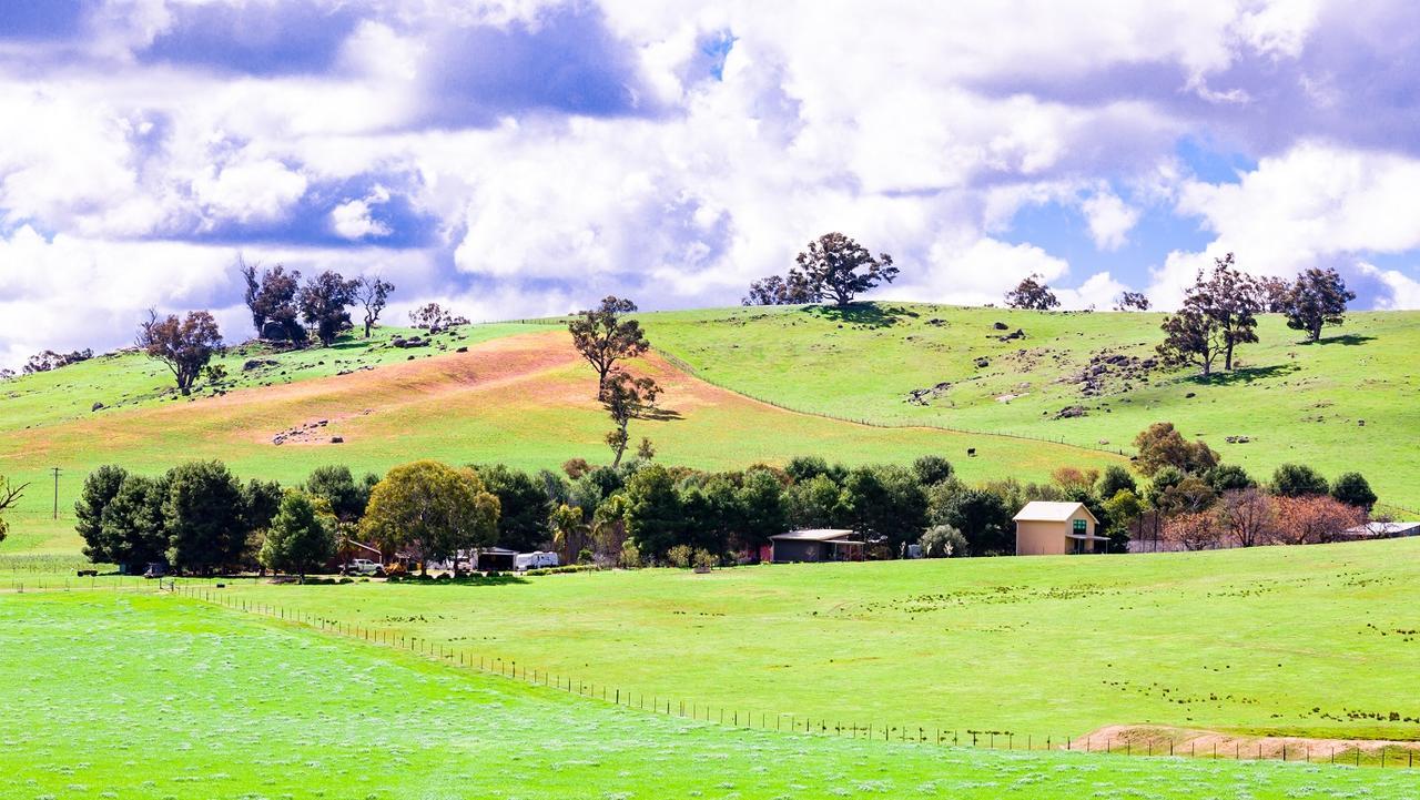Hillview Farmstay Gundagai Eksteriør billede