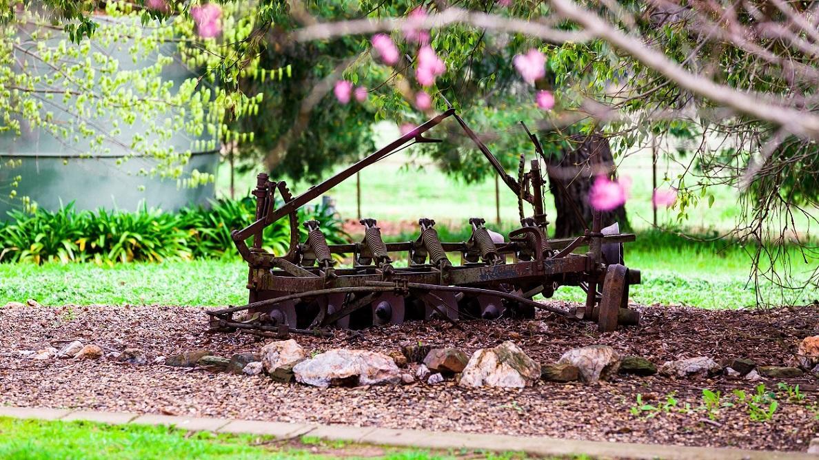Hillview Farmstay Gundagai Eksteriør billede