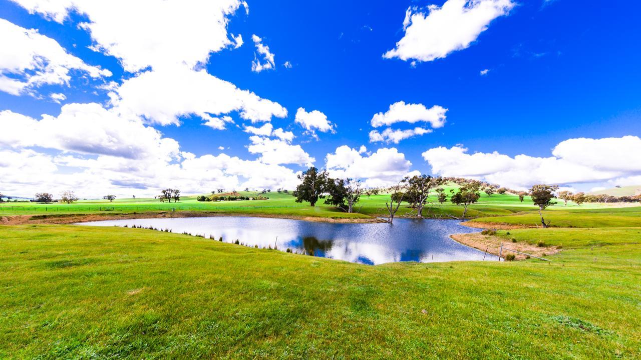 Hillview Farmstay Gundagai Eksteriør billede