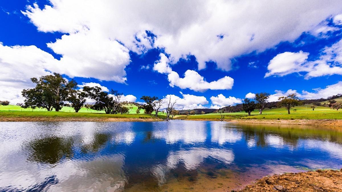 Hillview Farmstay Gundagai Eksteriør billede