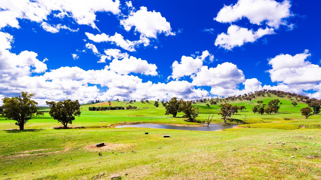 Hillview Farmstay Gundagai Eksteriør billede