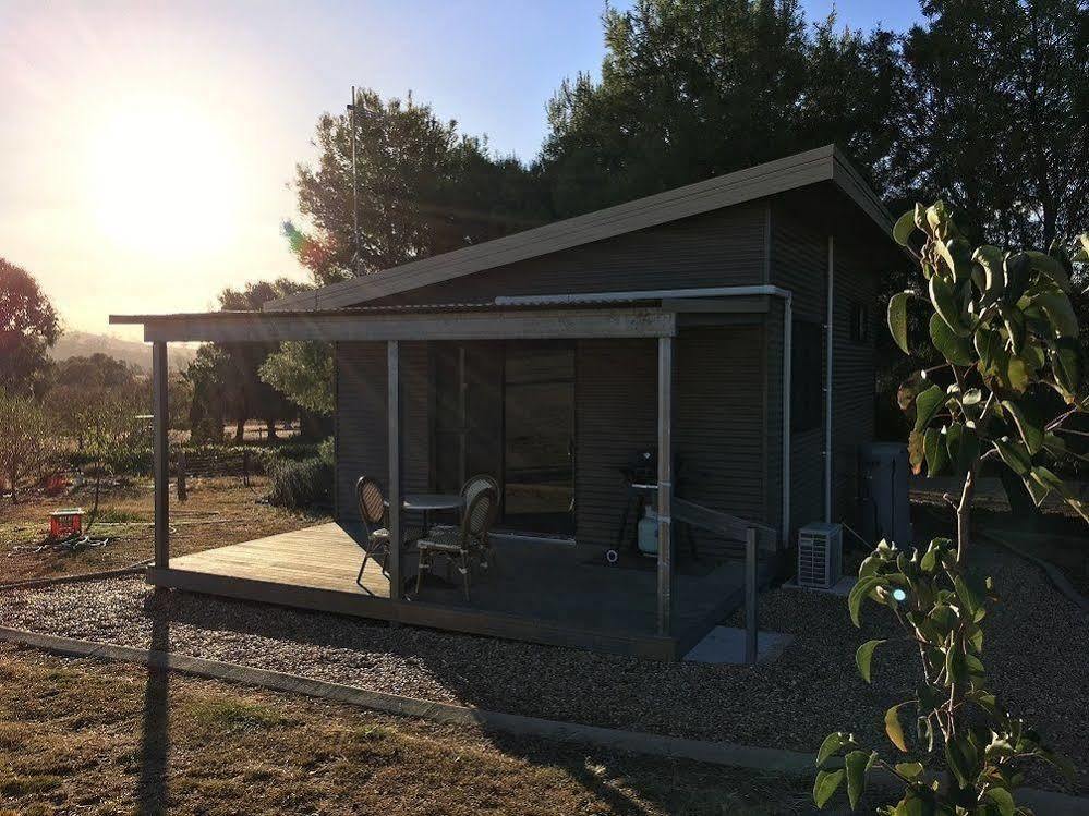 Hillview Farmstay Gundagai Eksteriør billede