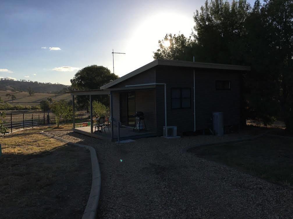 Hillview Farmstay Gundagai Eksteriør billede