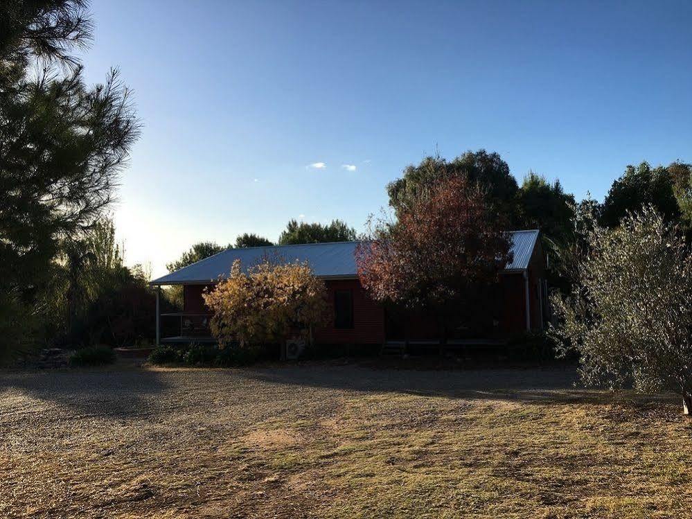 Hillview Farmstay Gundagai Eksteriør billede