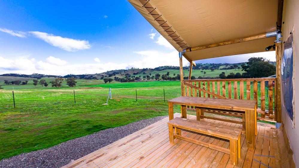 Hillview Farmstay Gundagai Eksteriør billede