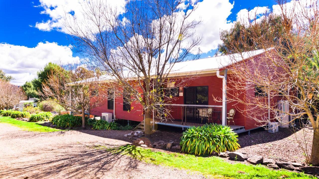 Hillview Farmstay Gundagai Eksteriør billede