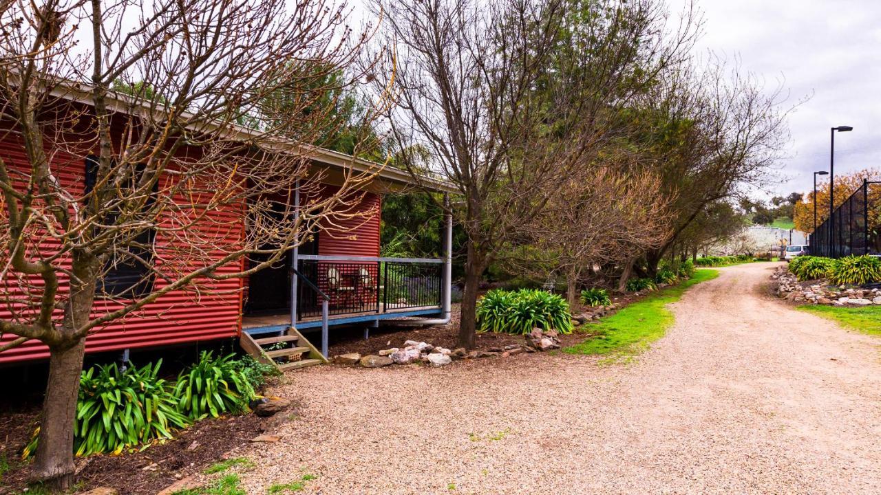 Hillview Farmstay Gundagai Eksteriør billede